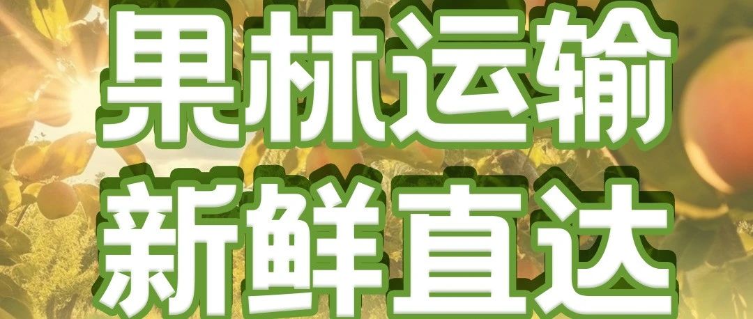 淮海果园车系列果林运输新鲜直达